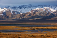 蒙古野生草原景观