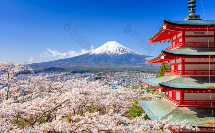 与 Chureito 宝塔，吉田，日本富士山 