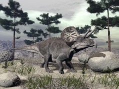 zuniceratops 恐龙-3d 渲染