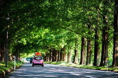 日本滋贺牧内町梅塞库亚绿树成荫的街道
