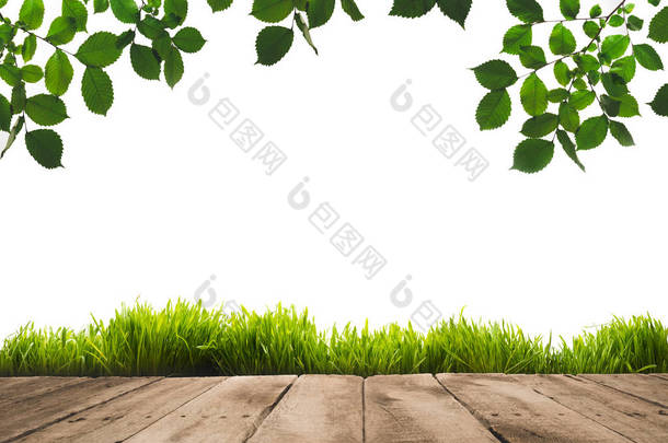 绿色的树叶、 草皮和木板