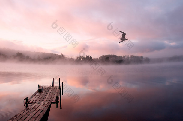 早上湖雾鸥