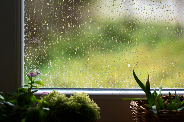 雨