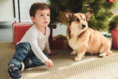可爱的男孩和狗坐在圣诞树下