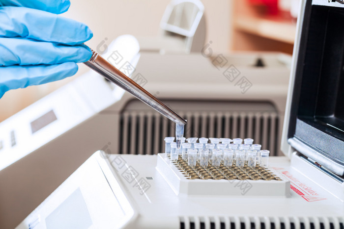 加载为 pcr dna 样本