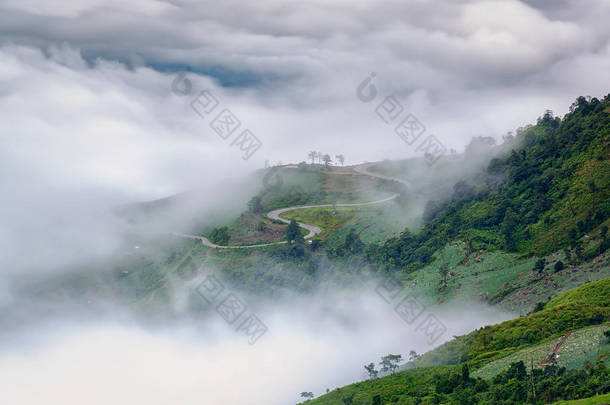 观, 薄雾, 高山, 陡峭和蜿蜒的道路, 以富行动计划推行 Boek 和富欣荣解放军国家公园, 碧差汶, <strong>泰国</strong>