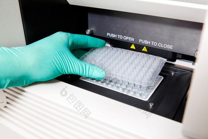 绿色手套、 热 pcr 循环、 dna 复制、 宽