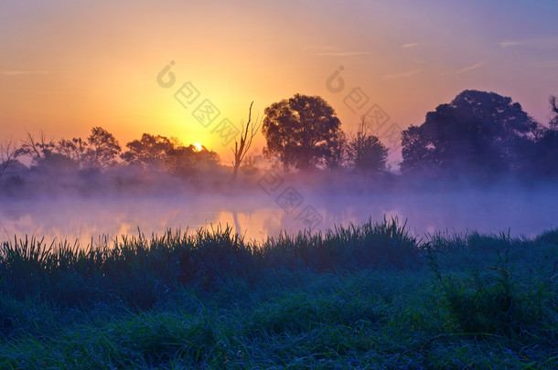 美丽的雾日出 narew 河上.