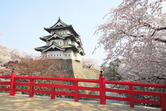 完整的含苞欲放的樱花和日本城堡