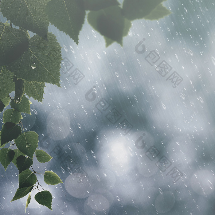 夏天雨背景