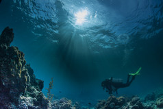 潜水员在水之下深深地游泳