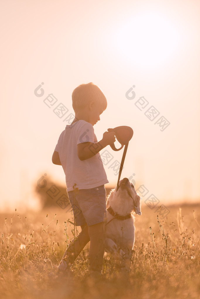 年轻的孩子男孩训练金毛猎犬小狗在草地上阳光灿烂的日子