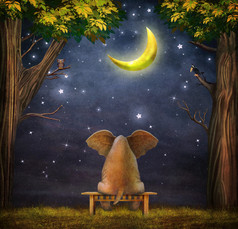 一只大象在晚上森林的长凳上的插图 