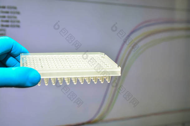 在实验室进行<strong>实时</strong>PCR研究。放大曲线背景下的96井板.