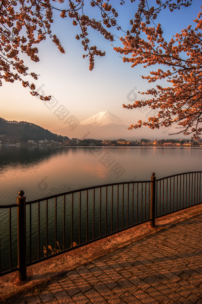 富士山，富士山查看从河口湖，日本与雪儿