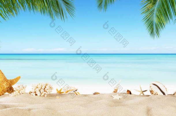 海星砂，夏天<strong>假期背景</strong>热带海滩.