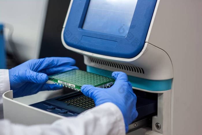 科学家或研究员或博士生放入 pcr dna 样本 