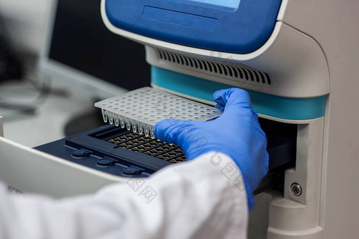 科学家或研究员或博士生放入 pcr dna 样本 