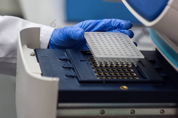 科学家或研究员或博士生放入 pcr dna 样本 