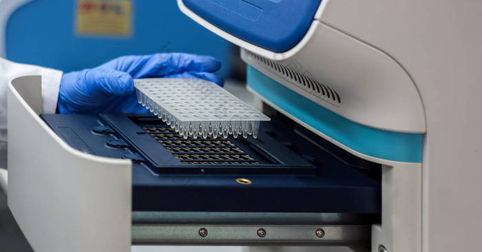 科学家或研究员或博士生放入 pcr dna 样本 