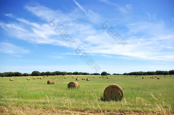 农业景观的字段中的干草