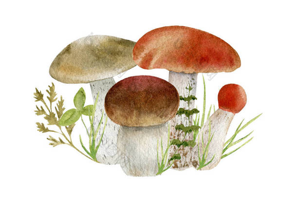 蘑菇的水彩剪贴画