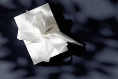 豪华节日白色礼品盒与丝带和蝴蝶结的黑色 