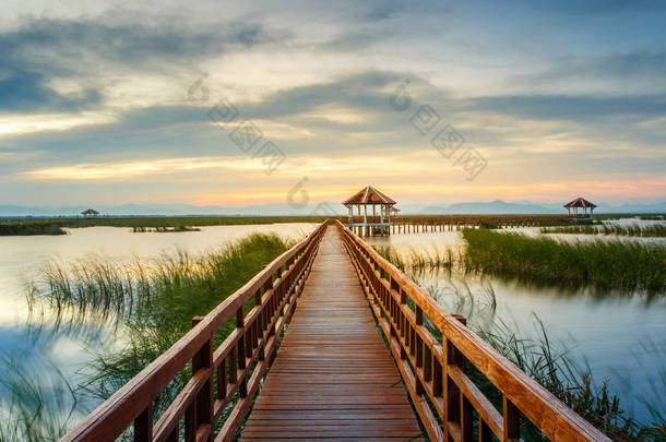 莲花湖上日落的时候在考山姆三百峰国家公园，泰国木制桥