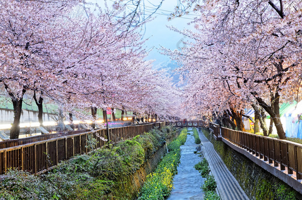 在韩国釜山市