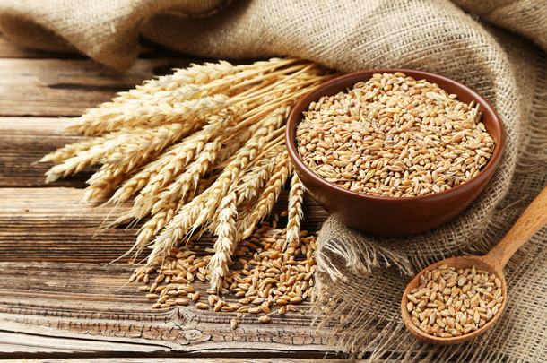 小麦和小麦籽粒碗的耳朵