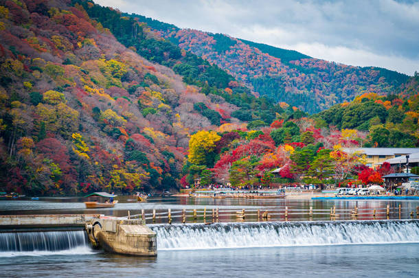 秋天山森林景观沿着嘉素拉河. 日本京都.