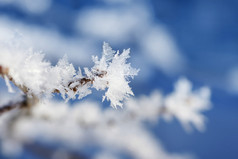 带有雪花分支提示