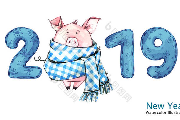 2019新年快乐横幅。可爱的猪在冬天围巾与数字。水彩插图。冬季假期的象征。星座。完美的日历和庆典卡.