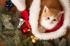 红色圣诞老人帽子上的可爱小猫的顶级视图与冷杉树和圣诞球的木桌