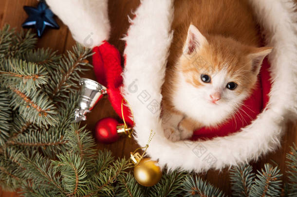 红色<strong>圣诞</strong>老人帽子上的可爱小猫的顶级视图与冷杉树和<strong>圣诞</strong>球的木桌