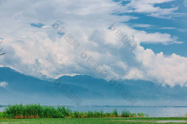 中国云南大理二海湖的树木和水生植物<strong>景观</strong>, 远处的<strong>山</strong>被云朵覆盖