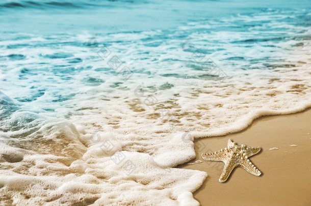 海星和软波在沙滩上