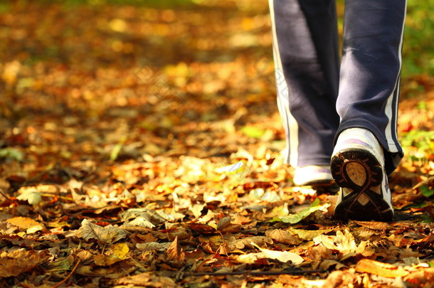 交叉郊游径在秋天的<strong>森林</strong>中散步的女人