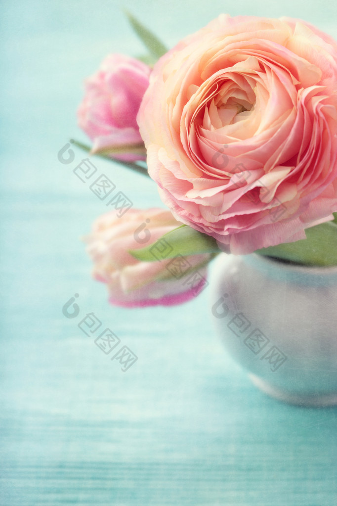 粉色的花高清图片下载-包图网