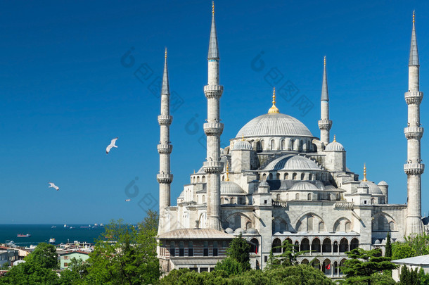 俯瞰伊斯坦布尔的蓝色清真寺，火鸡