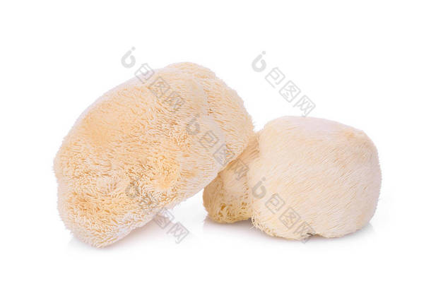 mokey 头蘑菇, 狮子鬃毛或 yamabushitake 被隔绝在白色背景上