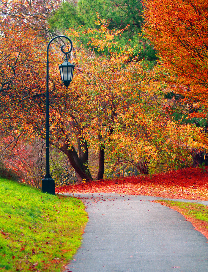 秋景风景高清图片下载-秋景风景图片-秋景风景素材-包图网企业站 