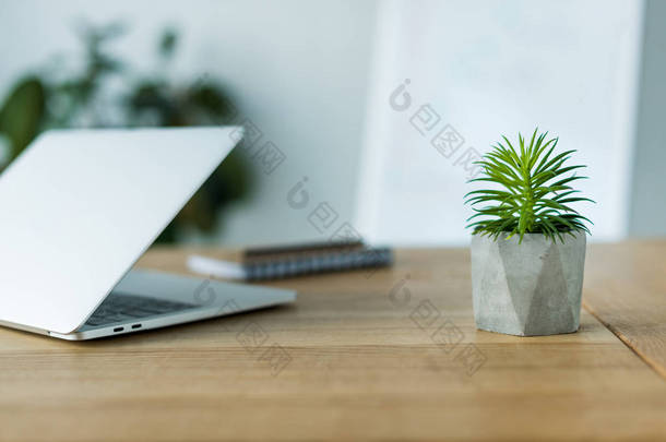 办公室木桌上的笔记本电脑和绿色植物