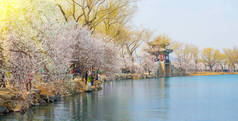 初春北京颐和园景观