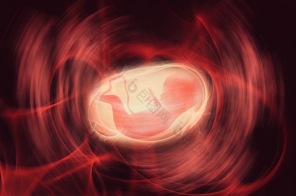 胎儿在母亲子宫里