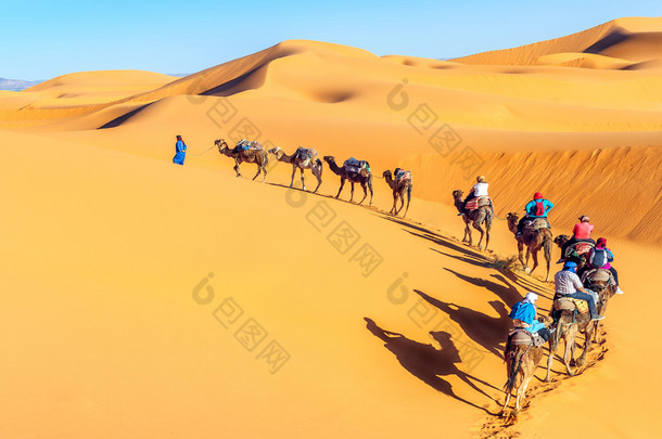 经历着沙丘撒哈拉沙漠<strong>中</strong>的骆驼商队