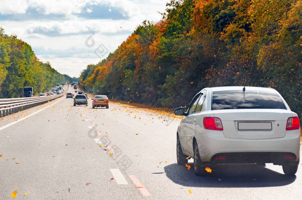 在一条繁忙的道路上, 在秋天的树木和飞的黄叶之间白天车辆的交通.