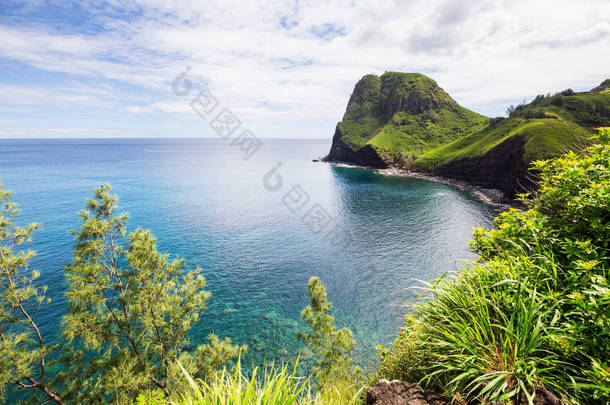 夏威夷茂宜岛的美丽热带海滩