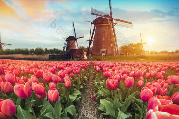 在风车村，教科文组织世界遗产站点，Alblasserdam，荷兰的温暖和多云日落