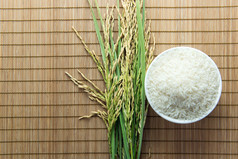 稻谷和大米粮食